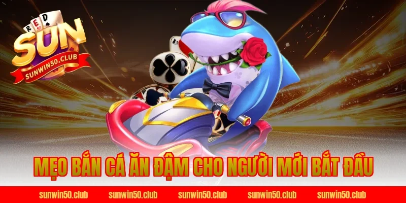 mẹo bắn cá ăn đậm cho người mới bắt đầu